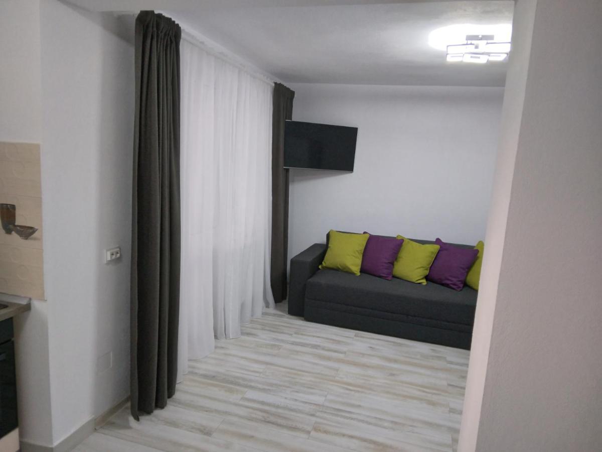 Luxury Apartament Curtea de Argeş Dış mekan fotoğraf