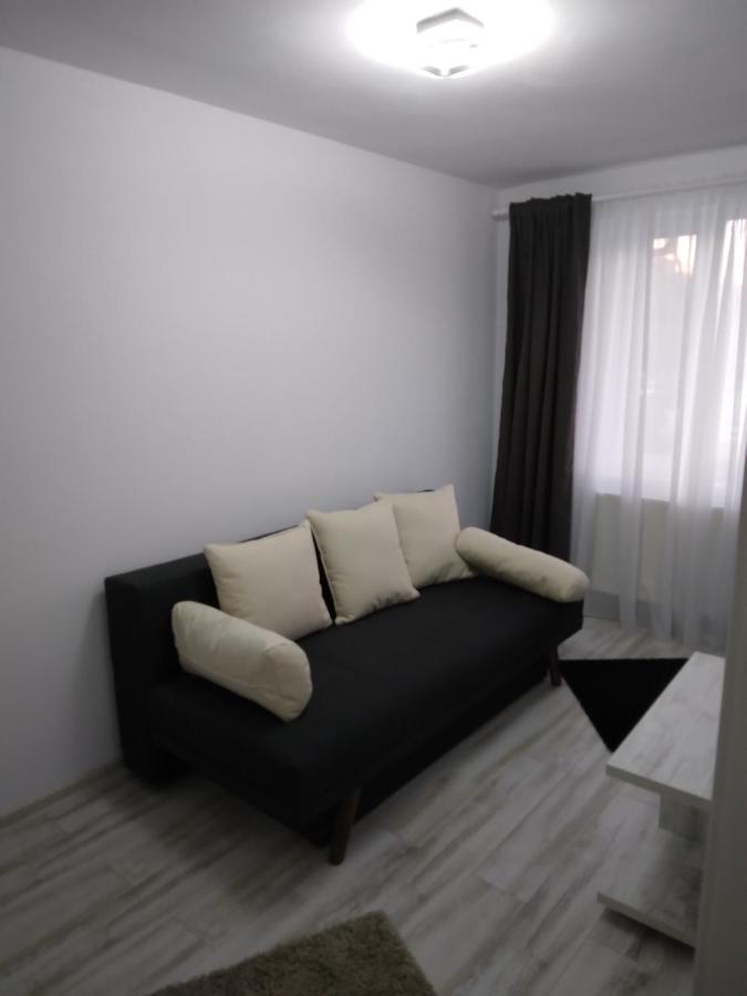 Luxury Apartament Curtea de Argeş Dış mekan fotoğraf