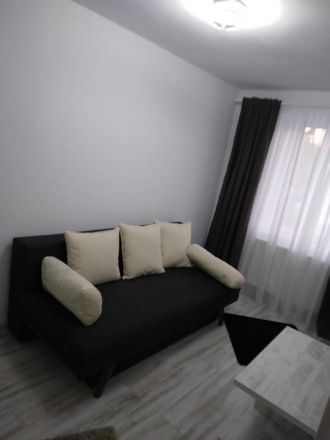 Luxury Apartament Curtea de Argeş Dış mekan fotoğraf