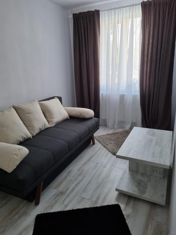 Luxury Apartament Curtea de Argeş Dış mekan fotoğraf