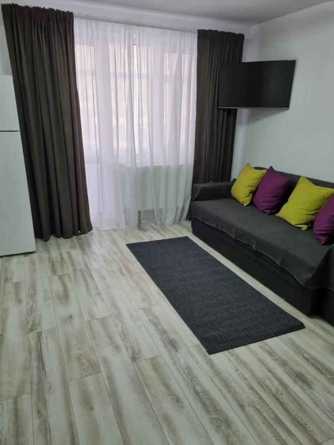 Luxury Apartament Curtea de Argeş Dış mekan fotoğraf