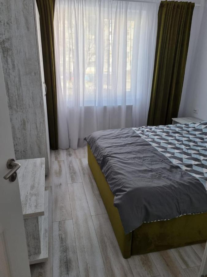 Luxury Apartament Curtea de Argeş Dış mekan fotoğraf
